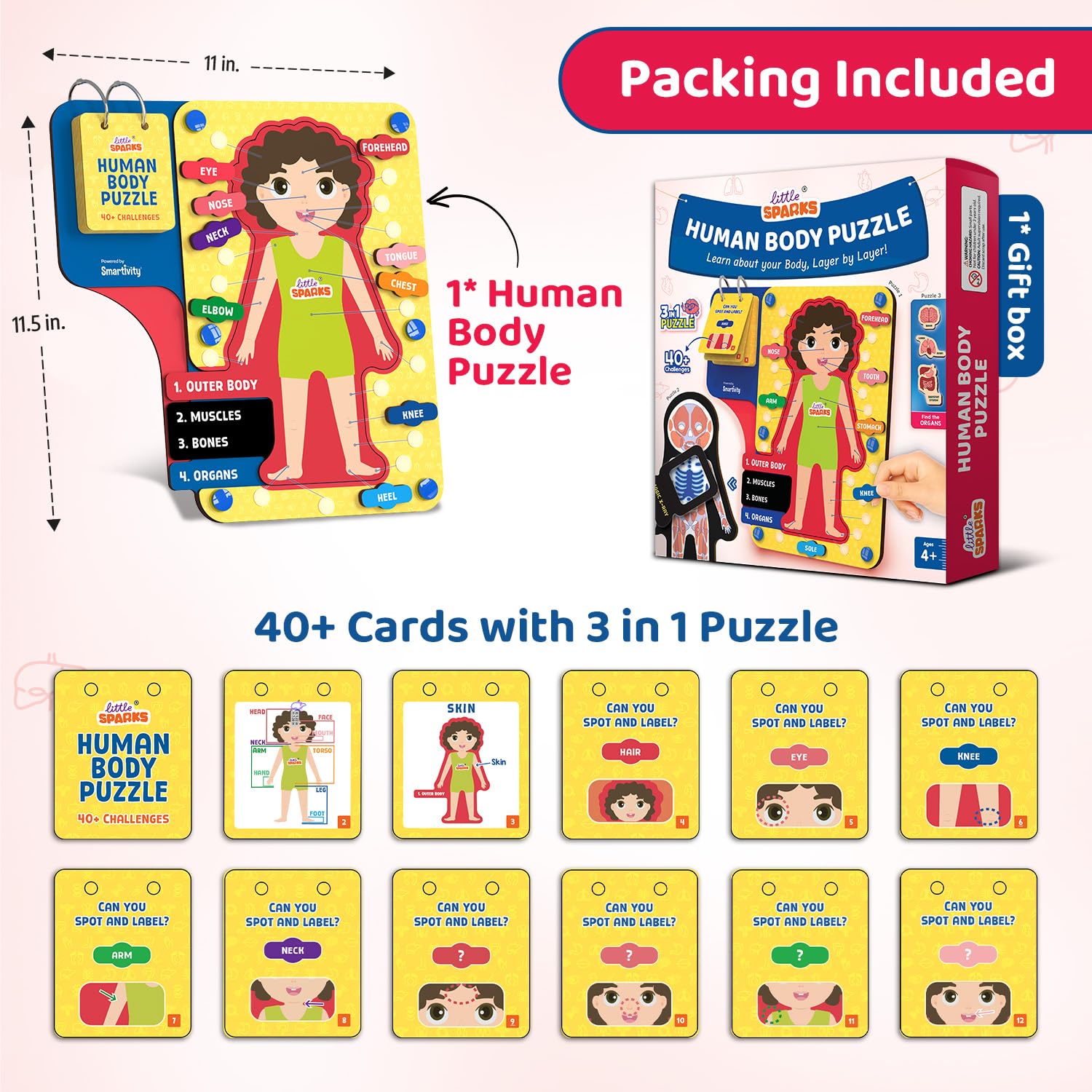 Human body puzzle set with cards and packaging, including dimensions and product details. Smartivity Human Body Puzzle for Kids available at go science product image 3