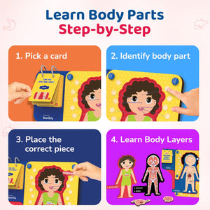 Educational card game for learning body parts step-by-step with colorful cards and illustrations. Smartivity Human Body Puzzle for Kids available at go science product image 4