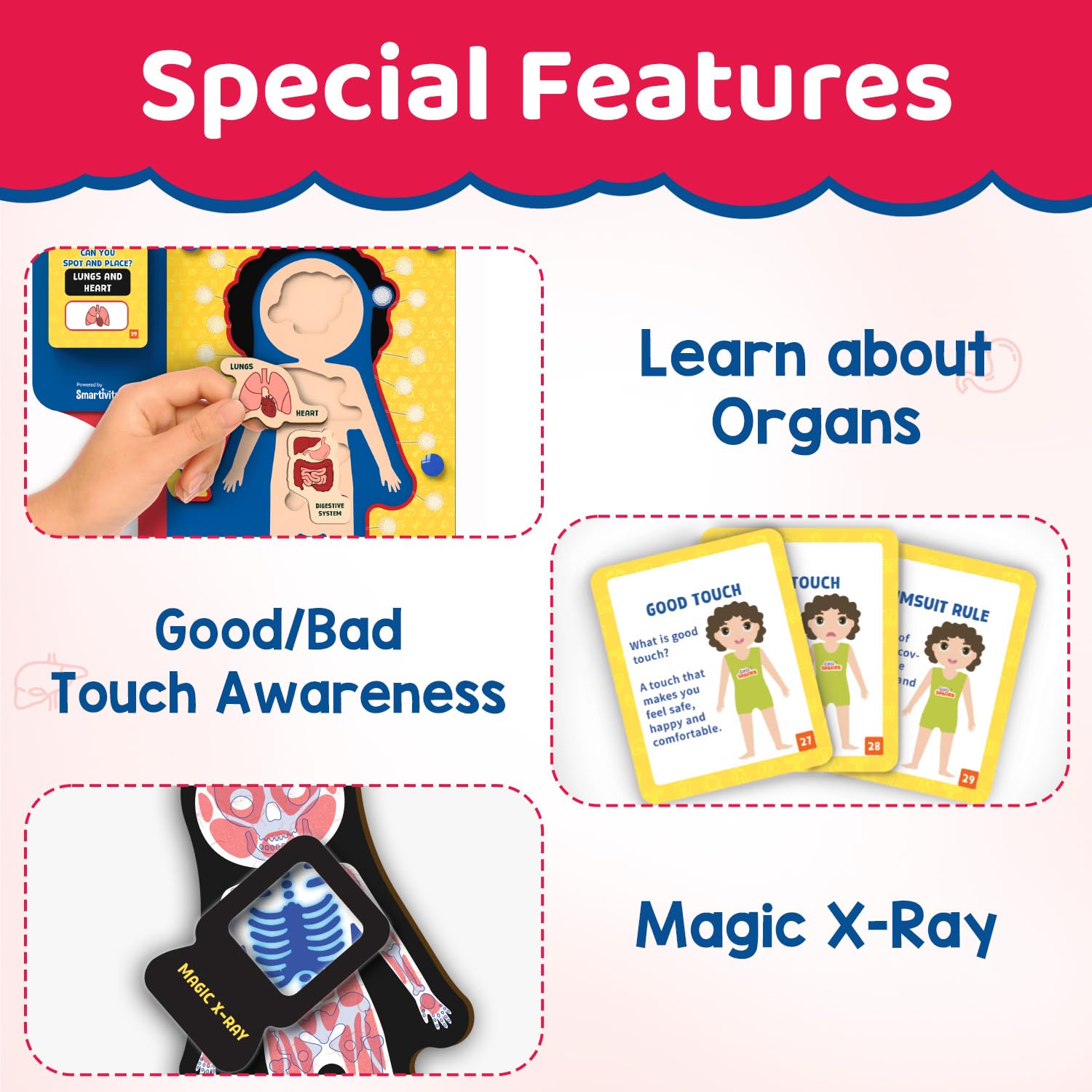 Educational product with features for learning about organs, touch awareness, and magic X-ray. Smartivity Human Body Puzzle for Kids available at go science product image 5