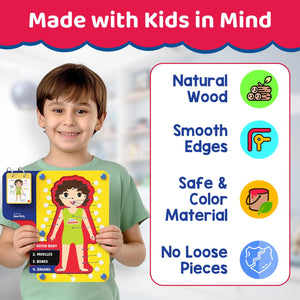 Child holding a educational body chart with safety features highlighted on a white background. Smartivity Human Body Puzzle for Kids available at go science product image 7