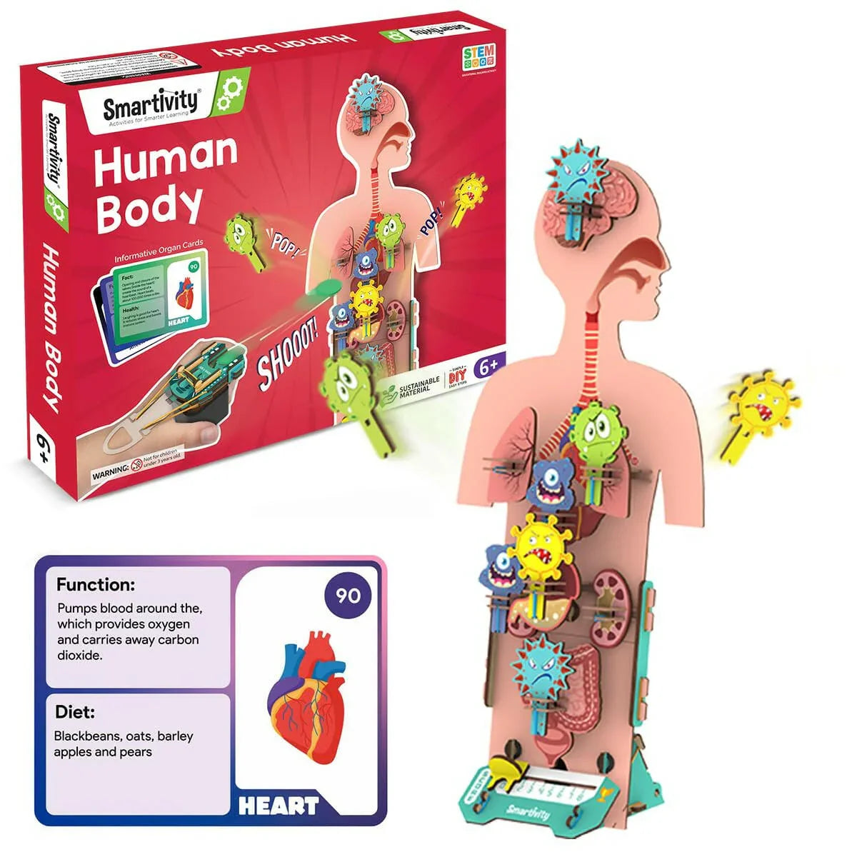Smartivity Human Body  Go Science .