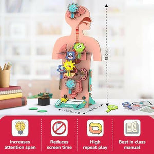 Smartivity Human Body  Go Science .