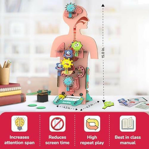 Smartivity Human Body  Go Science .