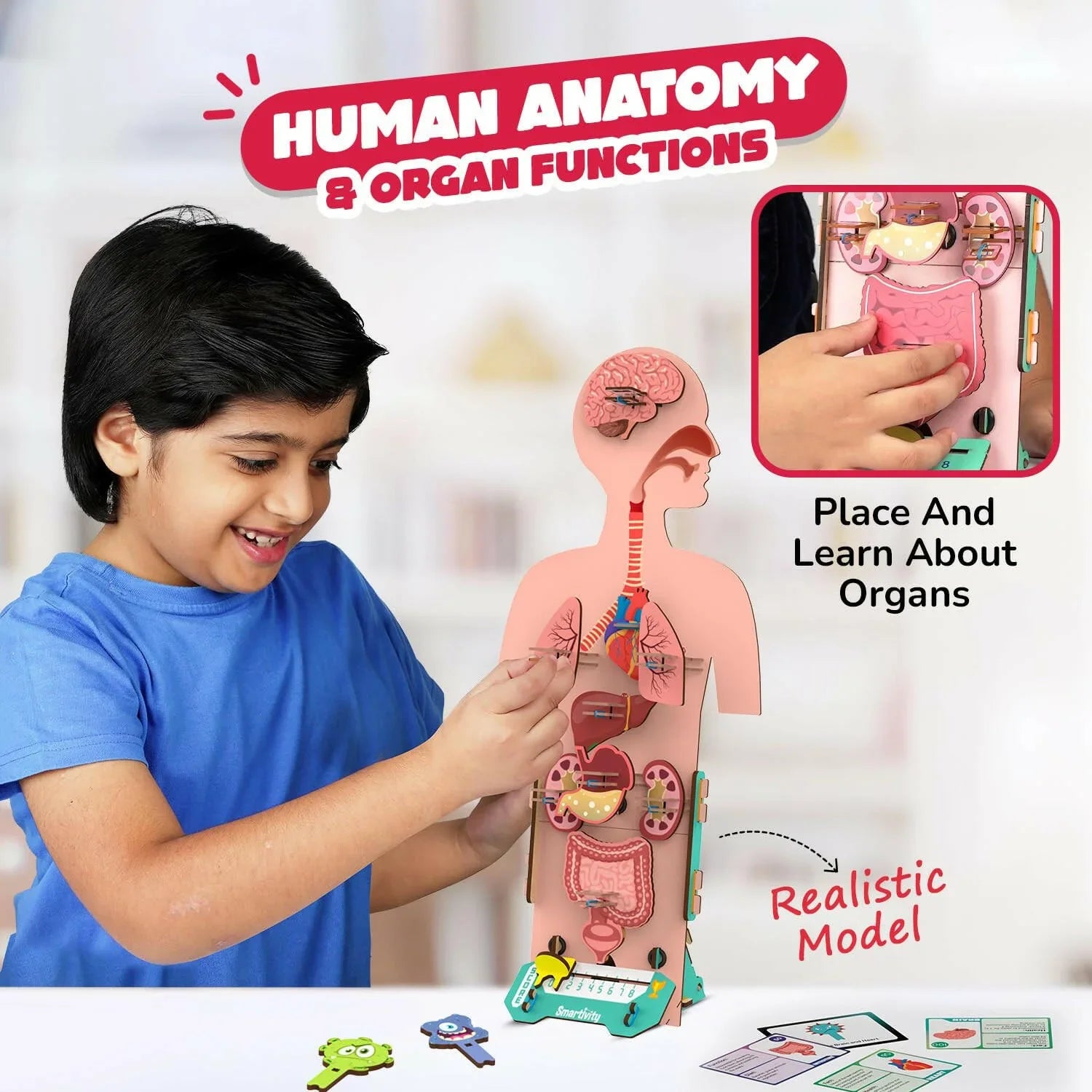 Smartivity Human Body  Go Science .