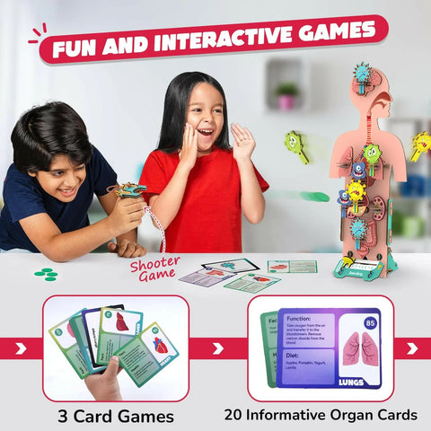 Smartivity Human Body  Go Science .