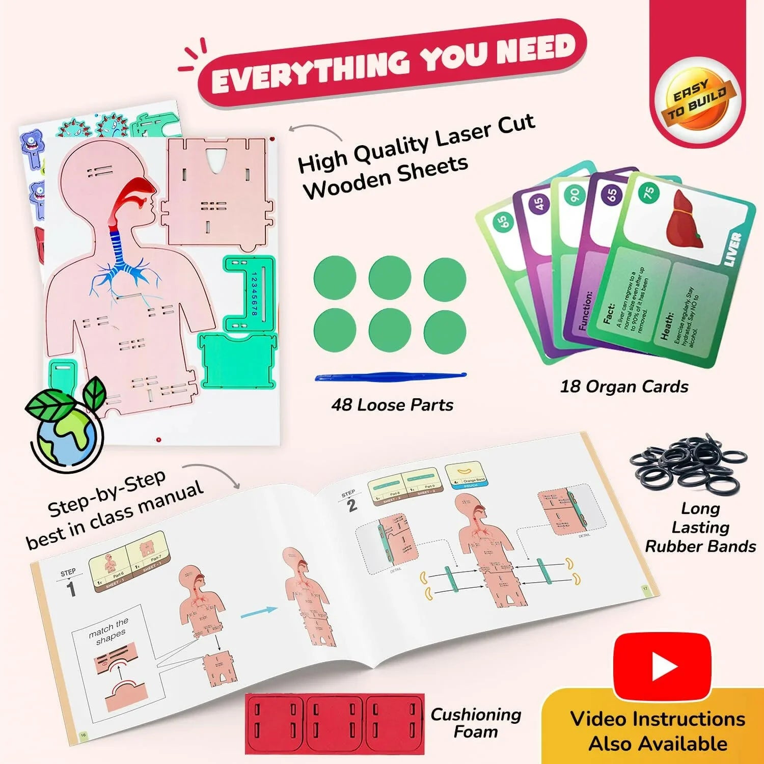 Smartivity Human Body  Go Science .