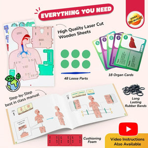 Smartivity Human Body  Go Science .