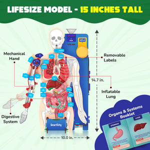Smartivity Interactive Human Body at Go Science product image 4