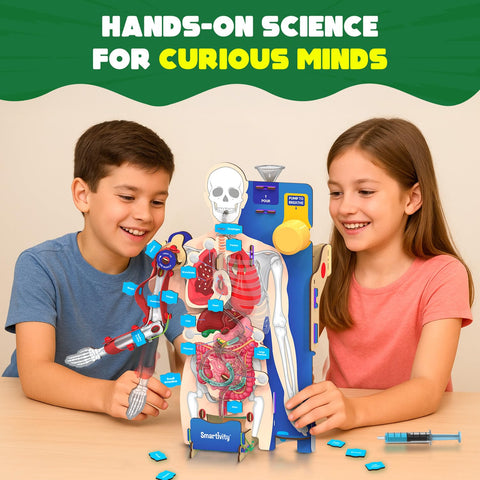 Smartivity Interactive Human Body at Go Science product image 5