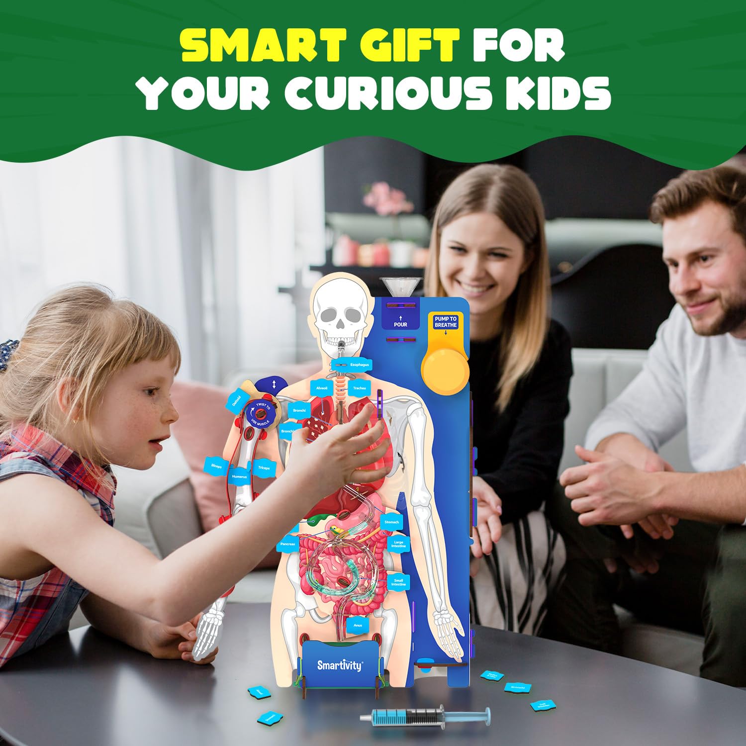 Smartivity Interactive Human Body at Go Science product image 7