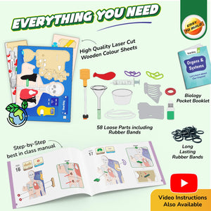 Smartivity Interactive Human Body at Go Science product image 9