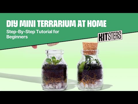Kitsters DIY Mini Terrarium Kit available at Go Science product Video