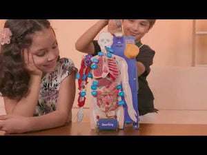 Smartivity Interactive Human Body at Go Science product Video