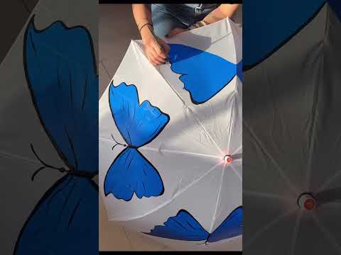 Kitsters DIY Umbrella Painting Kit available at Go Science product Video