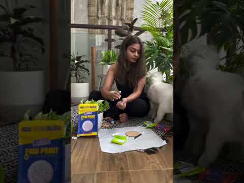 Kitsters DIY Paw Printing Kit at Go Science Product Video 2