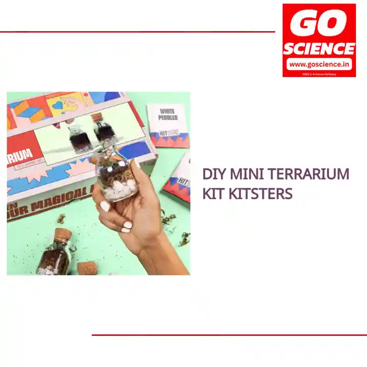 DIY Mini Terrarium Kit Kitsters by@Outfy