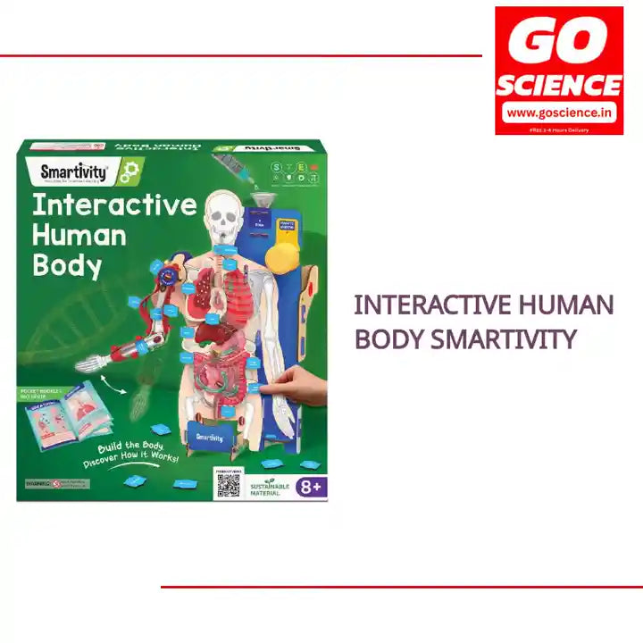 Interactive Human Body Smartivity by@Outfy