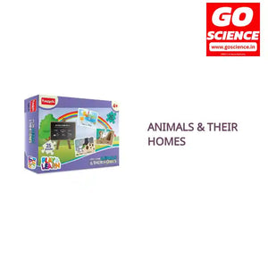 Animals &amp; Their Homes by@Outfy