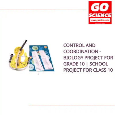 Control and Coordination - Biology Project for Grade 10 | School Project for Class 10 by@Outfy