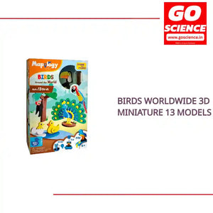 Birds Worldwide 3D Miniature 13 Models by@Outfy